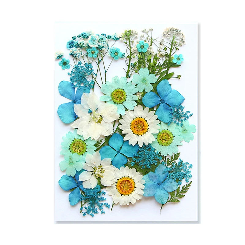 Blue | Teal | White Shades - Bears Treasures